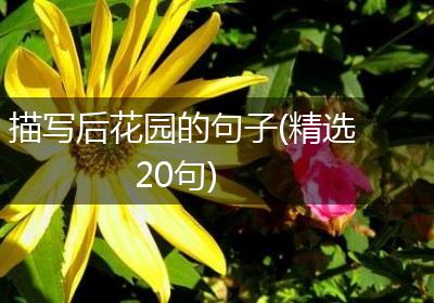 描写后花园的句子(精选20句)