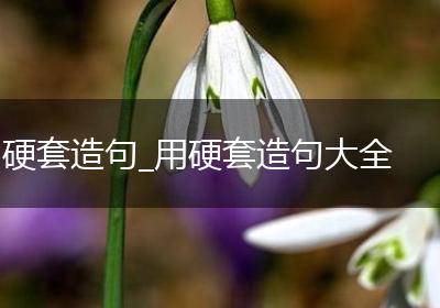 硬套造句_用硬套造句大全