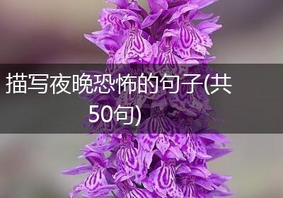 描写夜晚恐怖的句子(共50句)