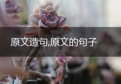 原文造句,原文的句子