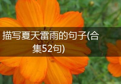 描写夏天雷雨的句子(合集52句)