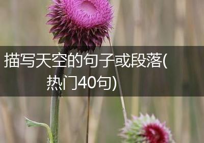 描写天空的句子或段落(热门40句)