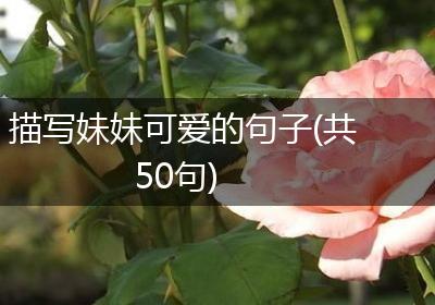 描写妹妹可爱的句子(共50句)