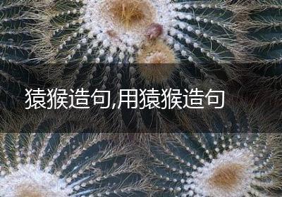 猿猴造句,用猿猴造句