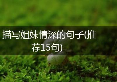 描写姐妹情深的句子(推荐15句)
