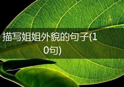 描写姐姐外貌的句子(10句)