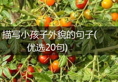 描写小孩子外貌的句子(优选20句)