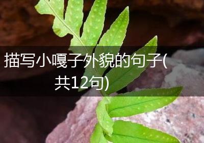 描写小嘎子外貌的句子(共12句)