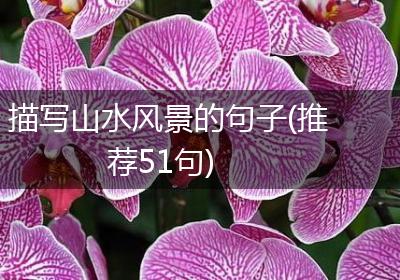 描写山水风景的句子(推荐51句)
