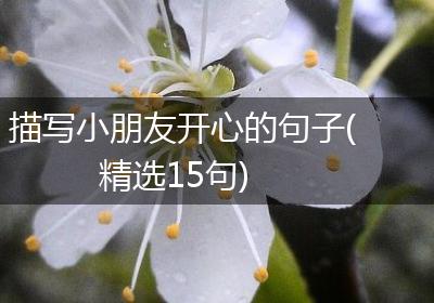 描写小朋友开心的句子(精选15句)