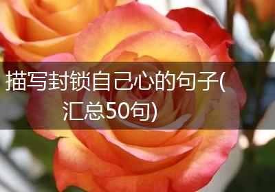 描写封锁自己心的句子(汇总50句)