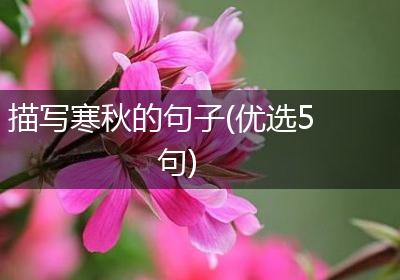 描写寒秋的句子(优选5句)