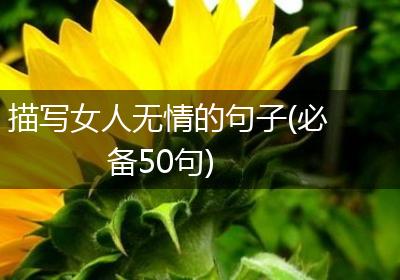 描写女人无情的句子(必备50句)