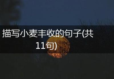 描写小麦丰收的句子(共11句)