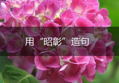 用“昭彰”造句