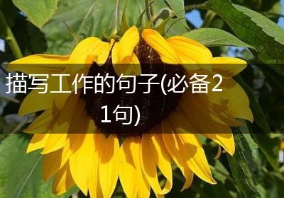 描写工作的句子(必备21句)