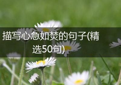 描写心急如焚的句子(精选50句)