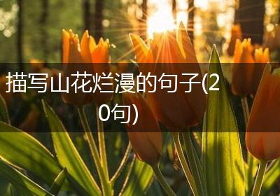 描写山花烂漫的句子(20句)
