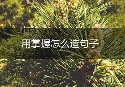 用掌握怎么造句子
