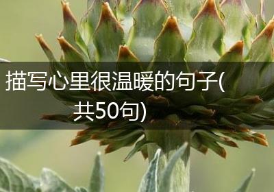 描写心里很温暖的句子(共50句)