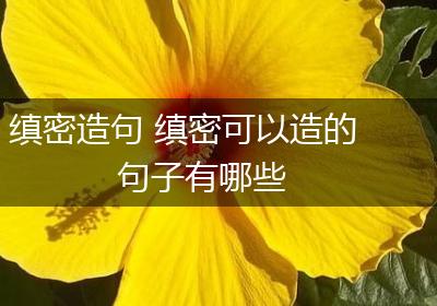 缜密造句 缜密可以造的句子有哪些