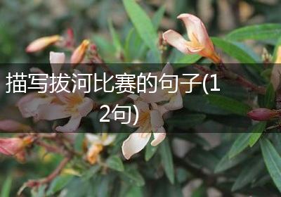 描写拔河比赛的句子(12句)