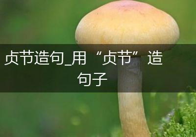 贞节造句_用“贞节”造句子