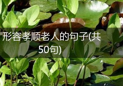形容孝顺老人的句子(共50句)