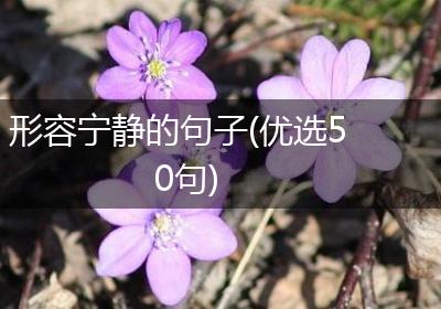 形容宁静的句子(优选50句)
