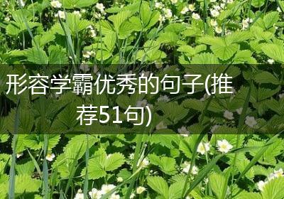 形容学霸优秀的句子(推荐51句)