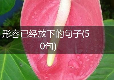形容已经放下的句子(50句)