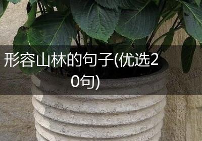 形容山林的句子(优选20句)