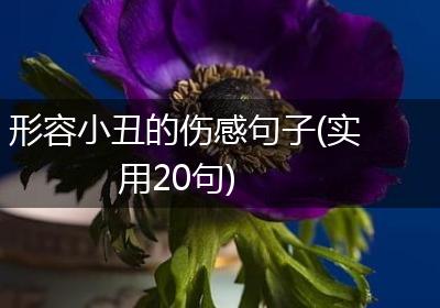 形容小丑的伤感句子(实用20句)