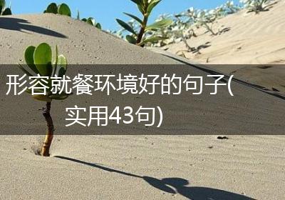 形容就餐环境好的句子(实用43句)