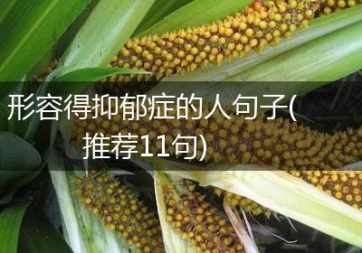 形容得抑郁症的人句子(推荐11句)