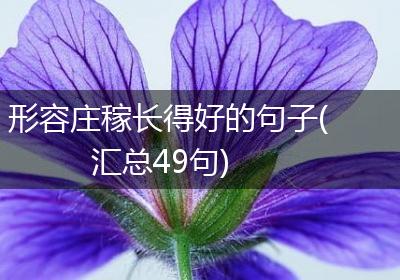 形容庄稼长得好的句子(汇总49句)