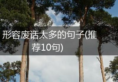 形容废话太多的句子(推荐10句)