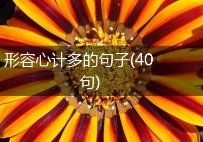 形容心计多的句子(40句)