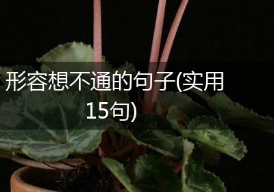 形容想不通的句子(实用15句)