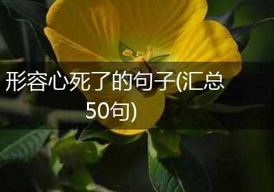 形容心死了的句子(汇总50句)