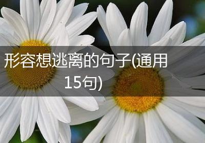 形容想逃离的句子(通用15句)