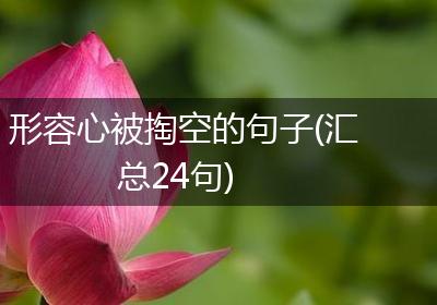 形容心被掏空的句子(汇总24句)