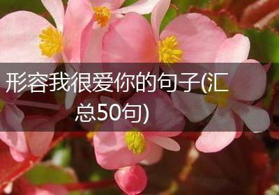 形容我很爱你的句子(汇总50句)