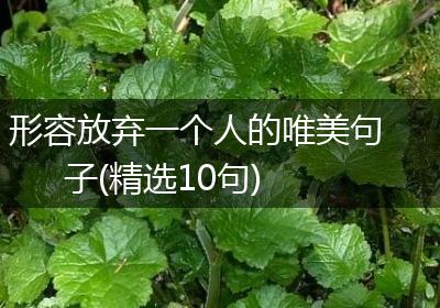 形容放弃一个人的唯美句子(精选10句)
