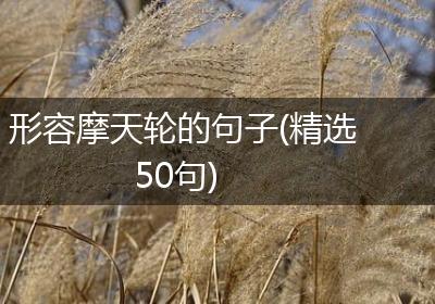 形容摩天轮的句子(精选50句)