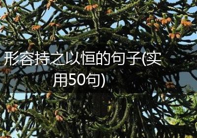 形容持之以恒的句子(实用50句)