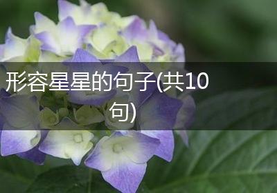 形容星星的句子(共10句)