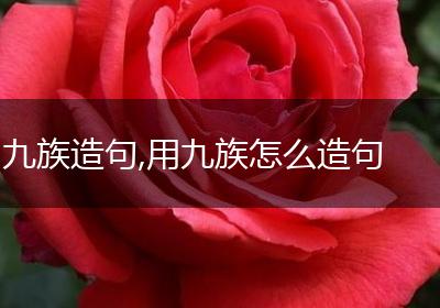 九族造句,用九族怎么造句