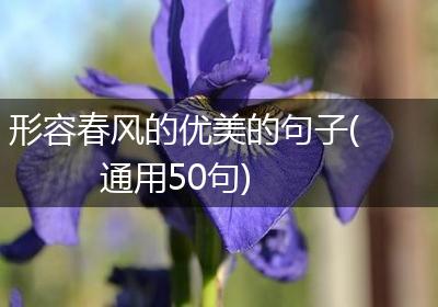 形容春风的优美的句子(通用50句)