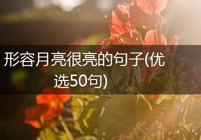 形容月亮很亮的句子(优选50句)